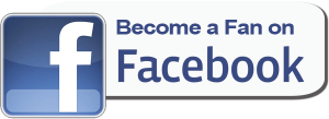 Facebook-Fan-Page-logo